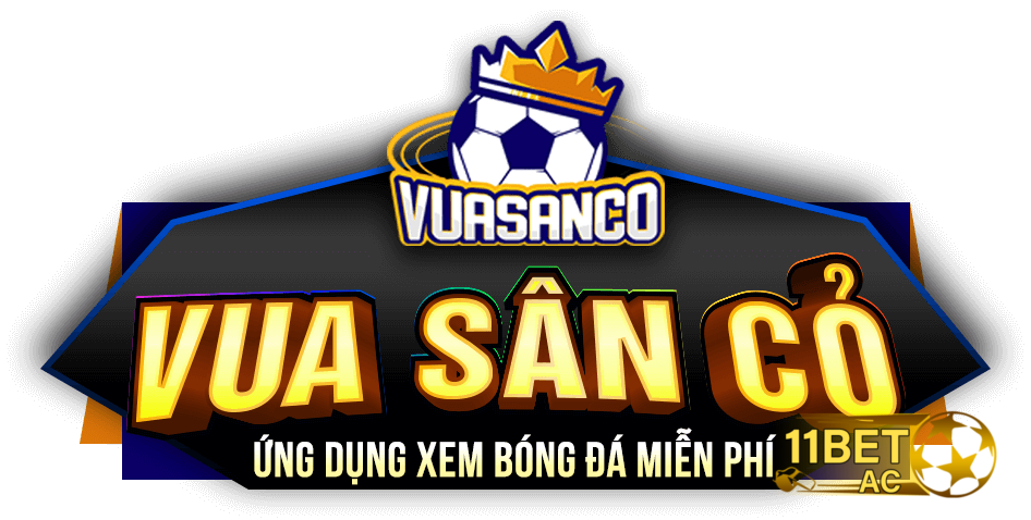 Giới thiệu vài nét về Vuasanco – kênh trực tiếp bóng đá hàng đầu hiện nay